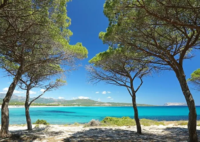 Le Dimore Di 3* Budoni