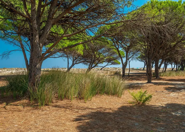 Le Dimore Di 3* Budoni