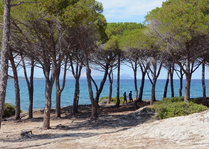 Aparthotel Le Dimore Di Budoni