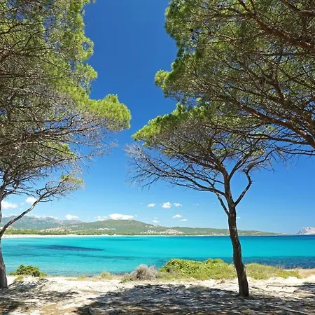 Le Dimore Di 3* בודוני