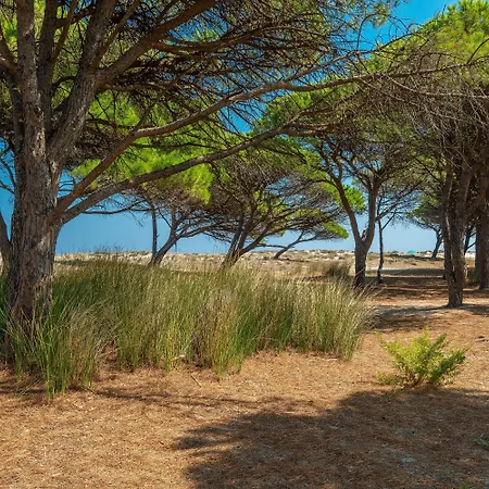 Le Dimore Di 3* בודוני