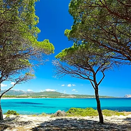 Le Dimore Di 3* Budoni